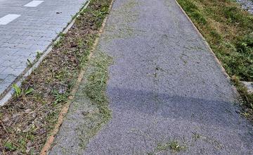 FOTO: Po kosení trávy pri žilinskom lesoparku zostala tráva na chodníkoch a skládky v kríkoch