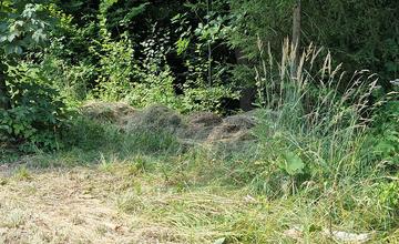 FOTO: Po kosení trávy pri žilinskom lesoparku zostala tráva na chodníkoch a skládky v kríkoch