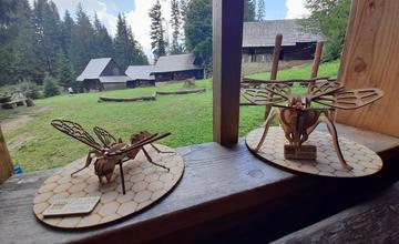 FOTO:  Včelárska nedeľa v Múzeu kysuckej dediny vo Vychylovke