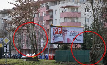 FOTO: Na Rosinskej ceste v Žiline sa objavil ďalší prípad orezávania stromov pred reklamnými plochami