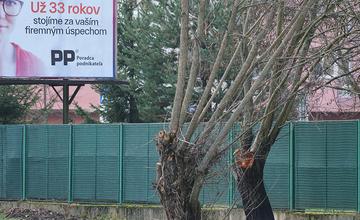 FOTO: Na Rosinskej ceste v Žiline sa objavil ďalší prípad orezávania stromov pred reklamnými plochami