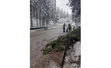 FOTO: Odstraňovanie spadnutého stromu na ceste I/65