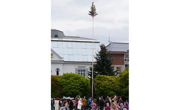 FOTO: Na Námestí Andreja Hlinku v centre Žiliny dnes postavili máj
