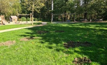 FOTO: Ihrisko v lesoparku rozryli diviaky