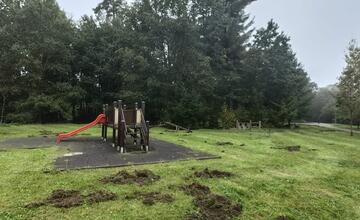 FOTO: Diviaky na ihriskách a žilinskej univerzite