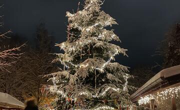 FOTO: V žilinskom lesoparku rozsvietili vianočný stromček