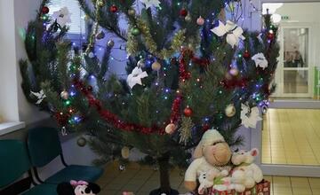 FOTO:  Detskí pacienti zo žilinskej nemocncie si pod stromčekom našli plyšákov