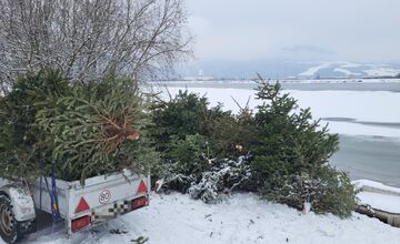 FOTO: Rybárski hospodári našli vianočným stromčekom nové využitie