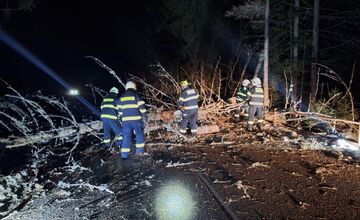 FOTO: Popadané stromy na Liptove