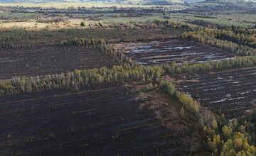 FOTO: Bolo najväčšie na Slovensku. Dnes vzácne rašelinisko na Orave mizne
