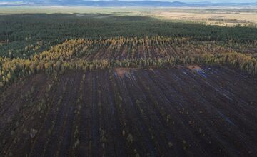 FOTO: Bolo najväčšie na Slovensku. Dnes vzácne rašelinisko na Orave mizne