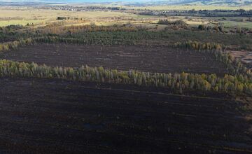 FOTO: Bolo najväčšie na Slovensku. Dnes vzácne rašelinisko na Orave mizne