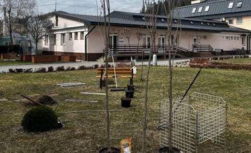 FOTO: Revitalizácia parku pri nemocnici v Trstenej: Pribudnú stromy aj oddychová zóna