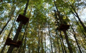 Lanový park Preles v Lesoparku Chrasť