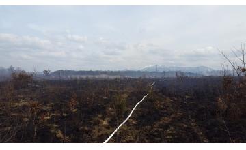 Požiar lesa v Trnovom 25.3.2015